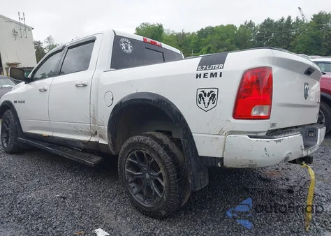 2010 Dodge Ram 1500 Slt/Sport/Trx from USA, damaged, VIN 1D7RV1CT2AS222460